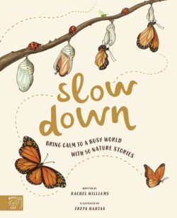 Slow Down book cover